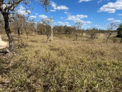 VENDO SÍTIO EM TRINDADE - PARÁ DE MINAS - MG