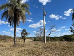 VENDO SÍTIO EM TRINDADE - PARÁ DE MINAS - MG