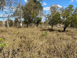 VENDO SÍTIO EM TRINDADE - PARÁ DE MINAS - MG