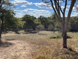 VENDO SÍTIO EM TRINDADE - PARÁ DE MINAS - MG