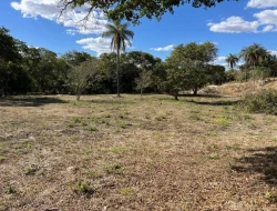 VENDO SÍTIO EM TRINDADE - PARÁ DE MINAS - MG
