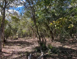VENDO SÍTIO EM TRINDADE - PARÁ DE MINAS - MG