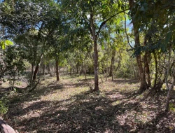 VENDO SÍTIO EM TRINDADE - PARÁ DE MINAS - MG