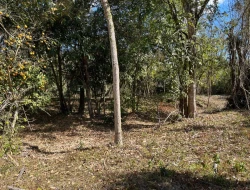 VENDO SÍTIO EM TRINDADE - PARÁ DE MINAS - MG
