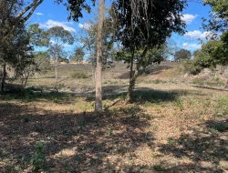 VENDO SÍTIO EM TRINDADE - PARÁ DE MINAS - MG