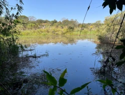 SÍTIO EM SAO JOSÉ DA VARGINHA
