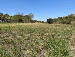 SÍTIO EM SAO JOSÉ DA VARGINHA