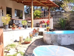 CHÁCARA À VENDA - CACHOEIRA DE ALMA - FLORESTAL - MG