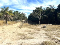 SÍTIO À VENDA EM SÃO JOSÉ DA VARGINHA – MG