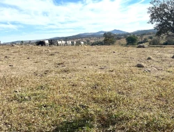 SÍTIO À VENDA EM SÃO JOSÉ DA VARGINHA – MG