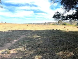 SÍTIO À VENDA EM SÃO JOSÉ DA VARGINHA – MG