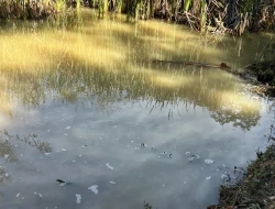 SÍTIO À VENDA EM SÃO JOSÉ DA VARGINHA – MG