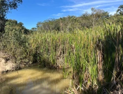 SÍTIO À VENDA EM SÃO JOSÉ DA VARGINHA – MG