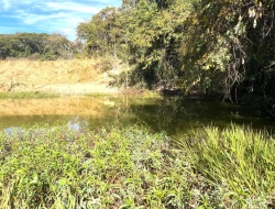 SÍTIO À VENDA EM SÃO JOSÉ DA VARGINHA – MG