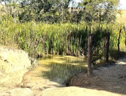 SÍTIO À VENDA EM SÃO JOSÉ DA VARGINHA – MG