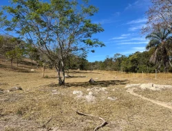SÍTIO À VENDA EM SÃO JOSÉ DA VARGINHA – MG