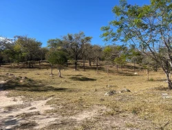 SÍTIO À VENDA EM SÃO JOSÉ DA VARGINHA – MG