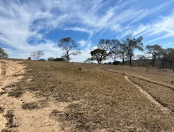 SÍTIO À VENDA EM SÃO JOSÉ DA VARGINHA – MG
