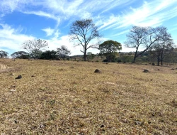 SÍTIO À VENDA EM SÃO JOSÉ DA VARGINHA – MG
