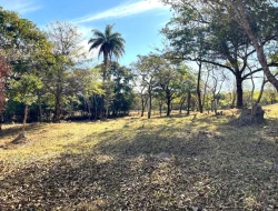 SÍTIO À VENDA EM SÃO JOSÉ DA VARGINHA – MG