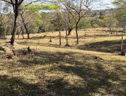 SÍTIO À VENDA EM SÃO JOSÉ DA VARGINHA – MG