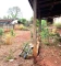 LOTE À VENDA - BAIRRO SÃO FRANCISCO - PARÁ DE MINAS - MG
