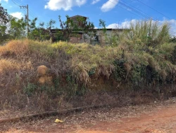 LOTE BAIRRO NOVO HORIZONTE