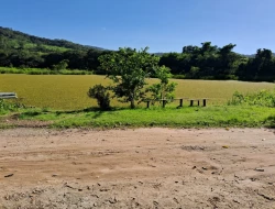 CHÁCARA À VENDA - ANTUNES - IGARATINGA -MG