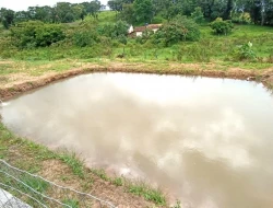 SÍTIO À VENDA - LAGOA PRETA - PARÁ DE MINAS - MG