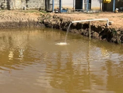 SÍTIO À VENDA - LAGOA PRETA - PARÁ DE MINAS - MG