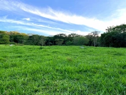 SÍTIO EM PONTE DE TÁBUA - PARÁ DE MINAS - MG