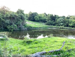 SÍTIO EM PONTE DE TÁBUA - PARÁ DE MINAS - MG