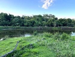 SÍTIO EM PONTE DE TÁBUA - PARÁ DE MINAS - MG
