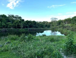 SÍTIO EM PONTE DE TÁBUA - PARÁ DE MINAS - MG