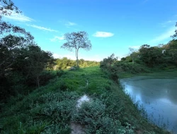 SÍTIO EM PONTE DE TÁBUA - PARÁ DE MINAS - MG