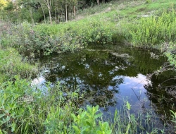 SÍTIO EM PONTE DE TÁBUA - PARÁ DE MINAS - MG