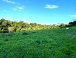 SÍTIO EM PONTE DE TÁBUA - PARÁ DE MINAS - MG