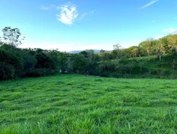 SÍTIO EM PONTE DE TÁBUA - PARÁ DE MINAS - MG