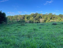 SÍTIO EM PONTE DE TÁBUA - PARÁ DE MINAS - MG