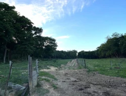 SÍTIO EM PONTE DE TÁBUA - PARÁ DE MINAS - MG