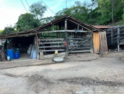SÍTIO EM PONTE DE TÁBUA - PARÁ DE MINAS - MG
