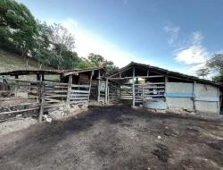 SÍTIO EM PONTE DE TÁBUA - PARÁ DE MINAS - MG