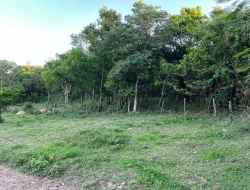 SÍTIO EM PONTE DE TÁBUA - PARÁ DE MINAS - MG