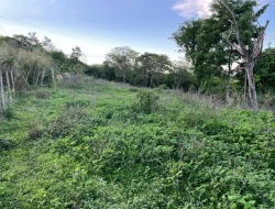 SÍTIO EM PONTE DE TÁBUA - PARÁ DE MINAS - MG